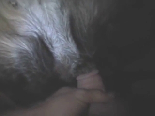 Impressive close-up dog action with a hot dude