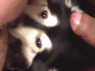 Dude is going to let that dog eat his asshole