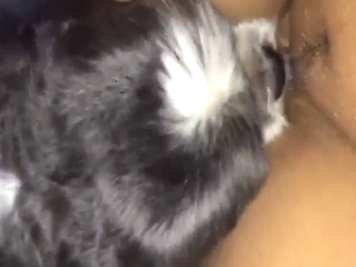 Early morning licking with a sexy small animal