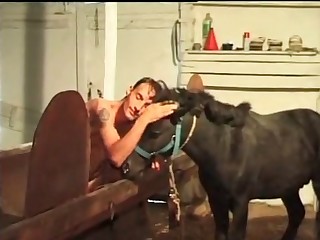 Gay dude jerks off outdoors and fucks a horse