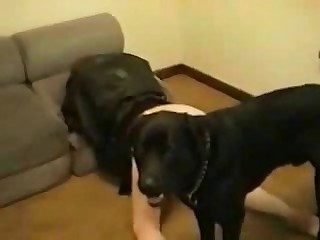 Dog sniffing that tasty human pussy