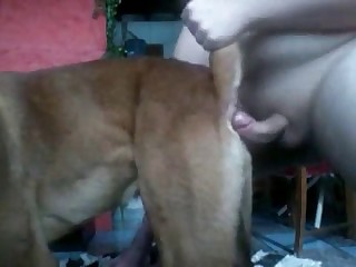 Hardcore stud fucking a dog with his cock