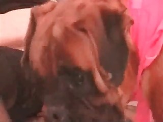 Dog can't stop licking this brunette's pussy
