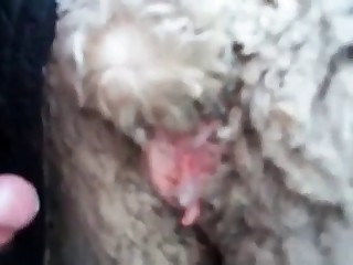 Animal orifice close-ups