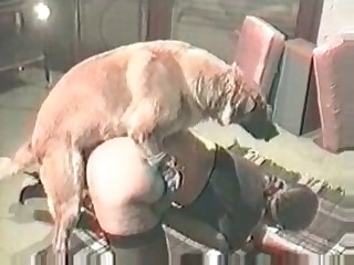Fat brunette destroyed by a dog