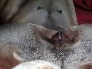 Close-up shots of a dude fucking something